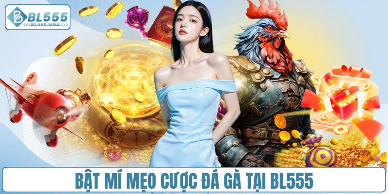Chơi Đá Gà Online – Trải Nghiệm Cá Cược Kịch Tính Tại BL555 4 Bật mí mẹo cược đá gà tại BL555