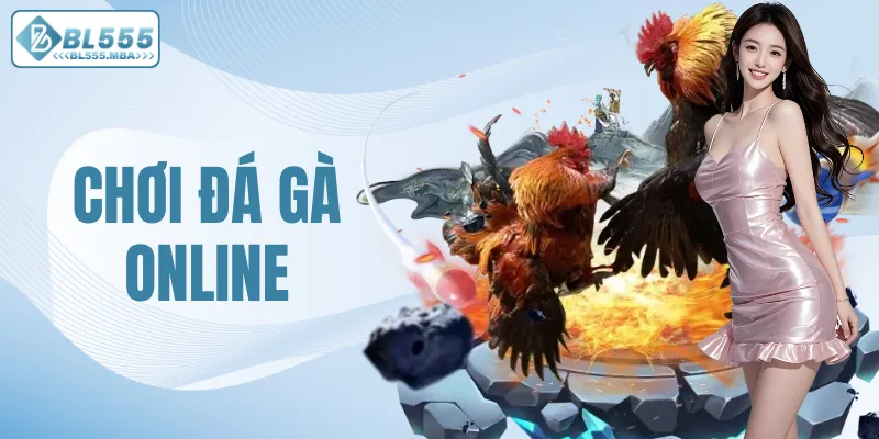 Chơi đá gà online