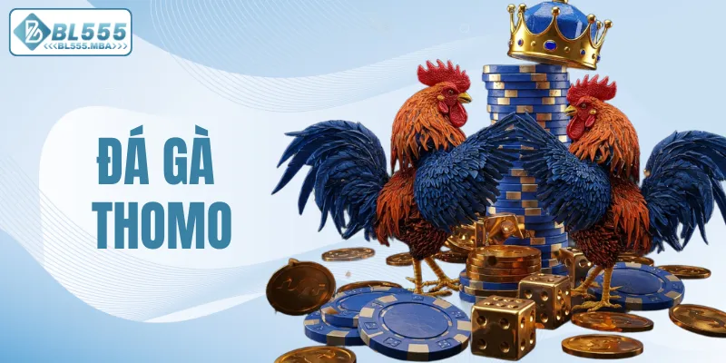 Đá gà Thomo
