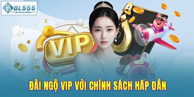 BL555 10 Đãi ngộ VIP với chính sách hấp dẫn