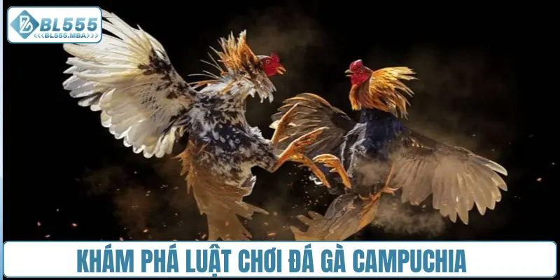 Đá gà Campuchia : Cập Nhật Nhanh, Gay Cấn Từng Giây 2 Khám phá luật chơi đá gà Campuchia