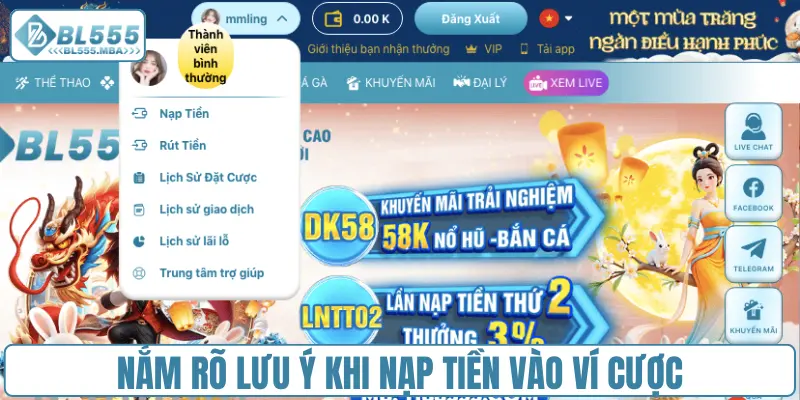 Nắm rõ lưu ý khi nạp tiền trực tuyến vào ví cược