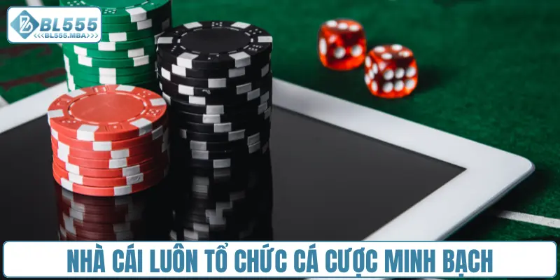 Nhà cái luôn tổ chức cá cược minh bạch