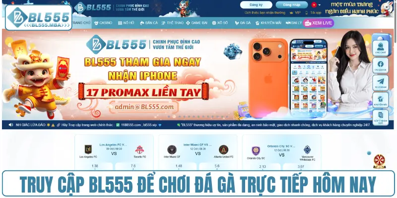 Truy cập BL555 để chơi đá gà trực tiếp hôm nay